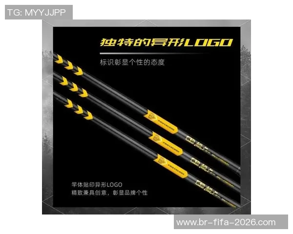 足球经理2014教练攻略全面解析助你打造冠军球队的秘诀与技巧